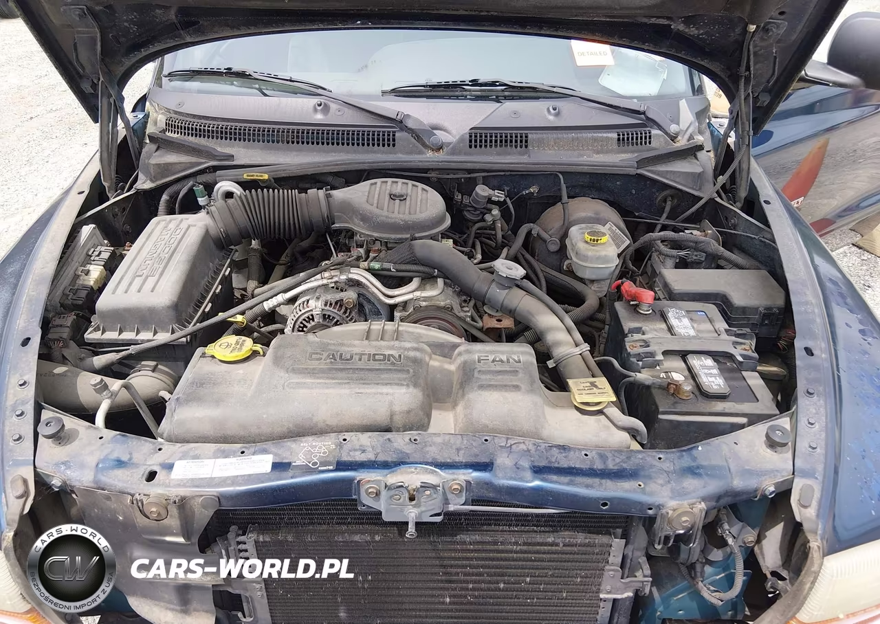 2000 Dodge Dakota Slt-Sport VIN:1B7GL22X5YS721927 - 10
