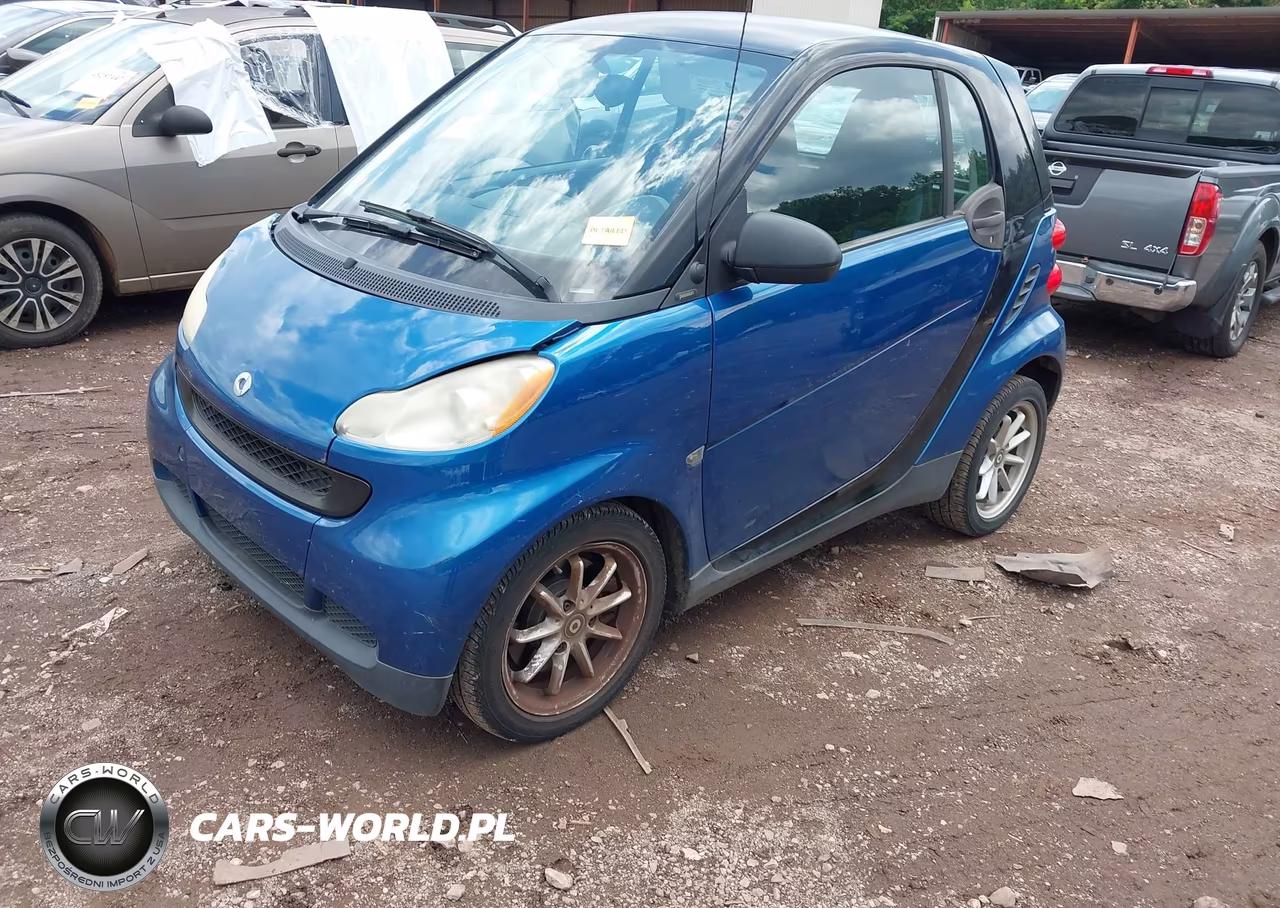 2009 Smart Fortwo Brabus-Passion-Pure VIN:WMEEJ31X29K224390 - 2