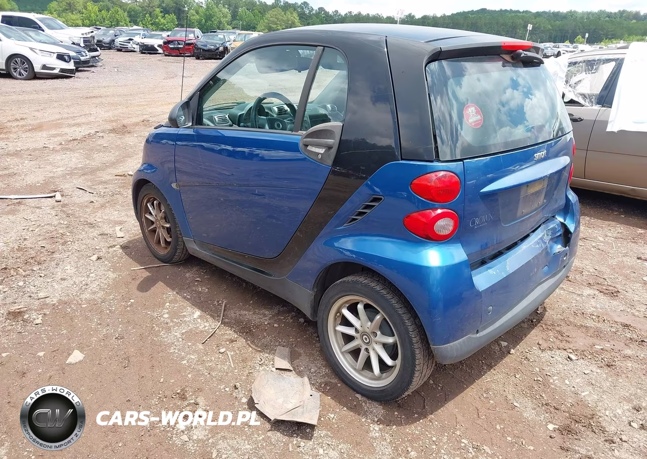 2009 Smart Fortwo Brabus-Passion-Pure VIN:WMEEJ31X29K224390 - 3