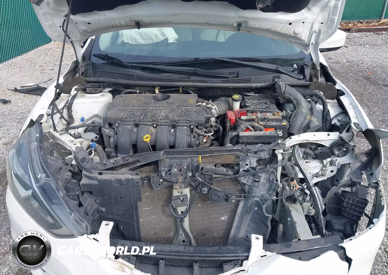 2016 Nissan Sentra Fe+ S VIN:3N1AB7AP3GY273620 - 10