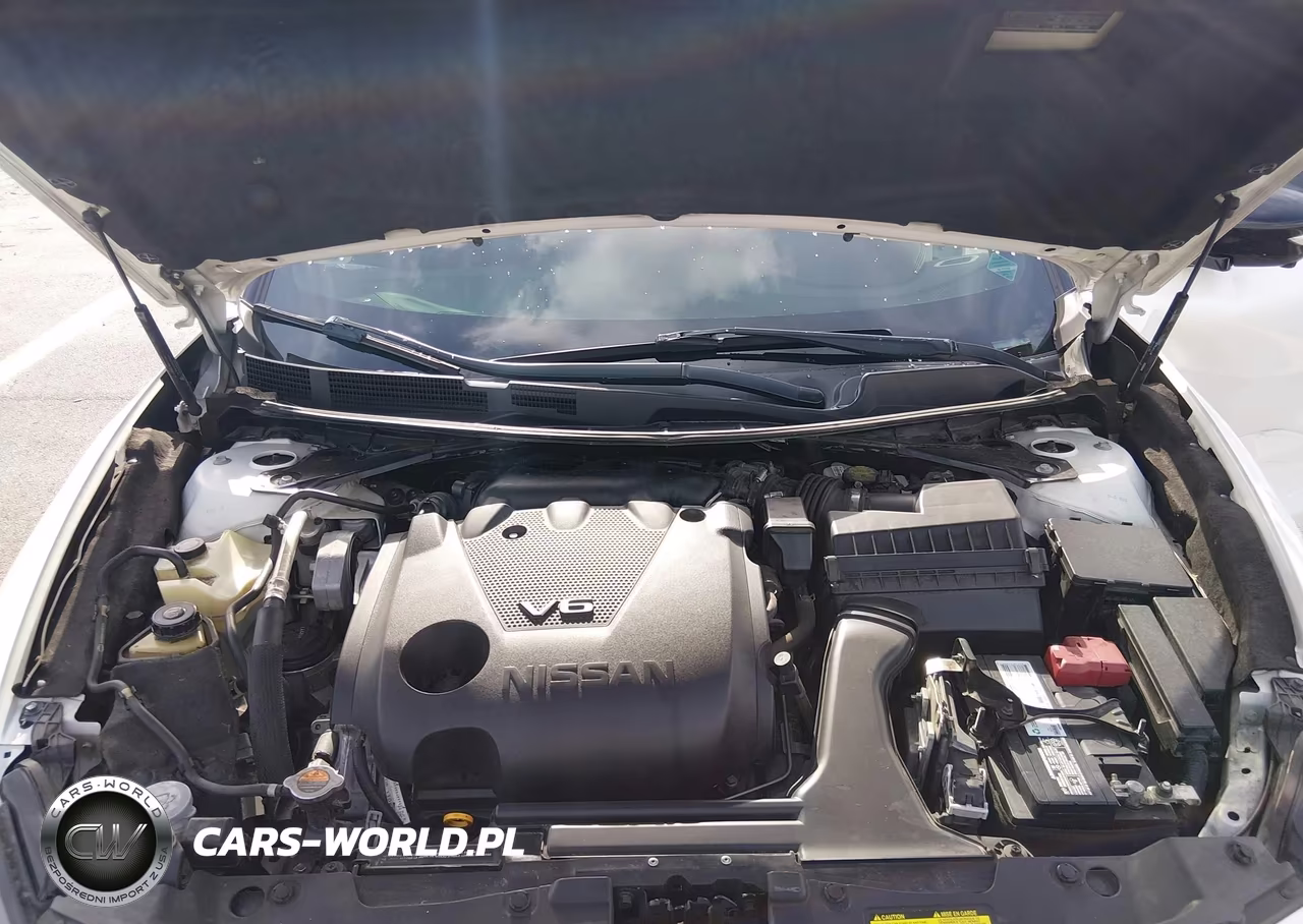2020 Nissan Maxima Platinum Xtronic Cvt VIN:1N4AA6FV3LC380709 - 10