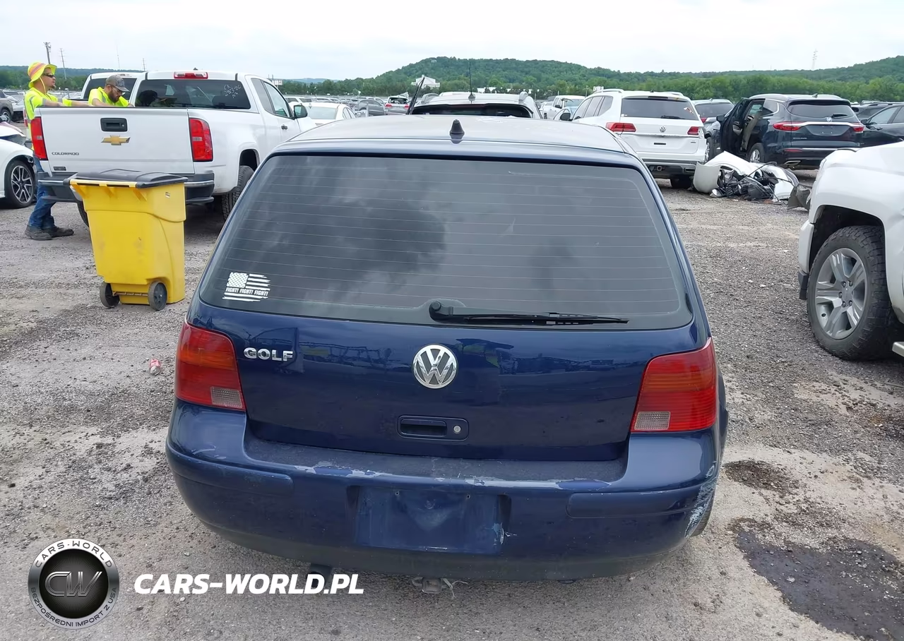 2004 Volkswagen Golf Gls Tdi VIN:9BWGR61J744043396 - 16