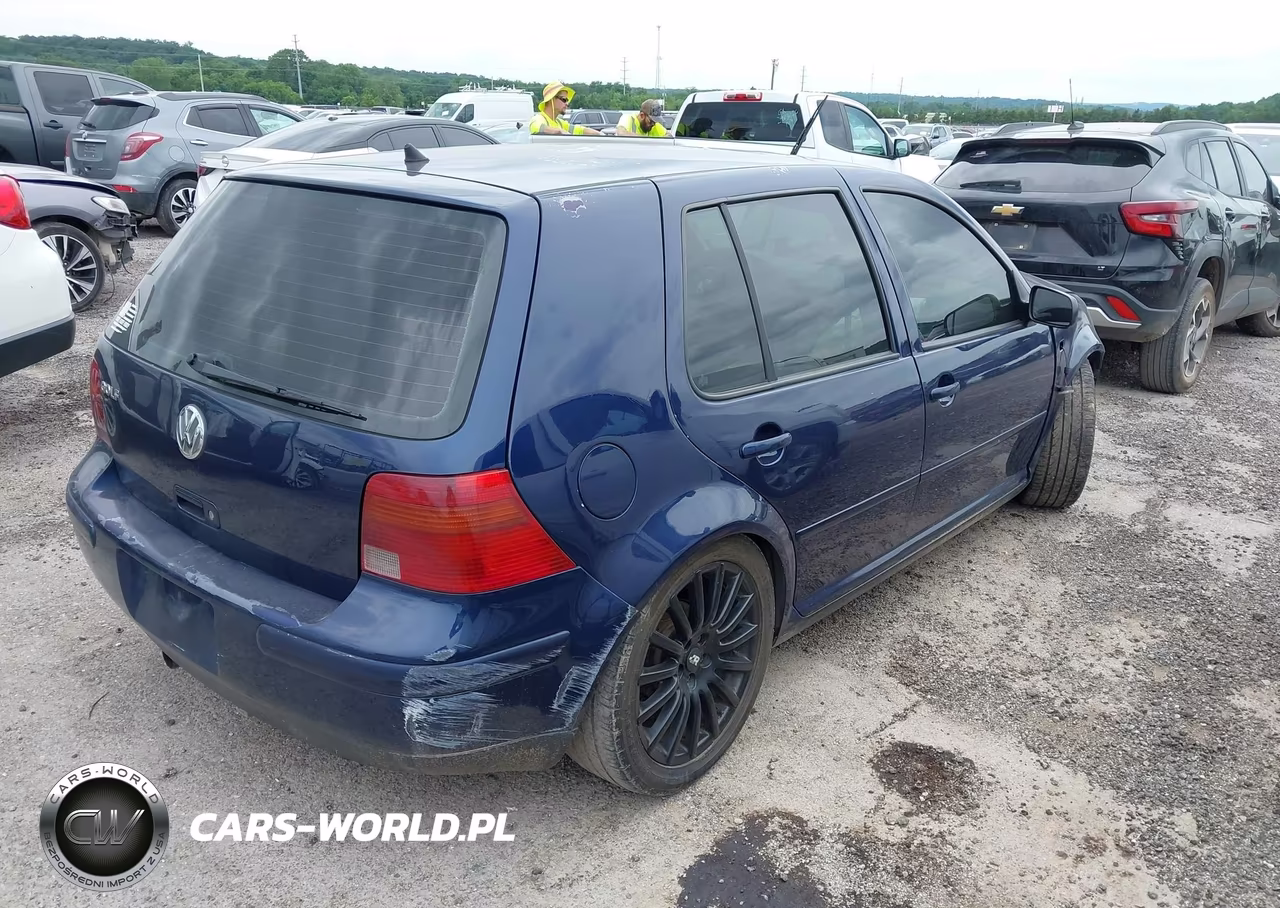 2004 Volkswagen Golf Gls Tdi VIN:9BWGR61J744043396 - 4