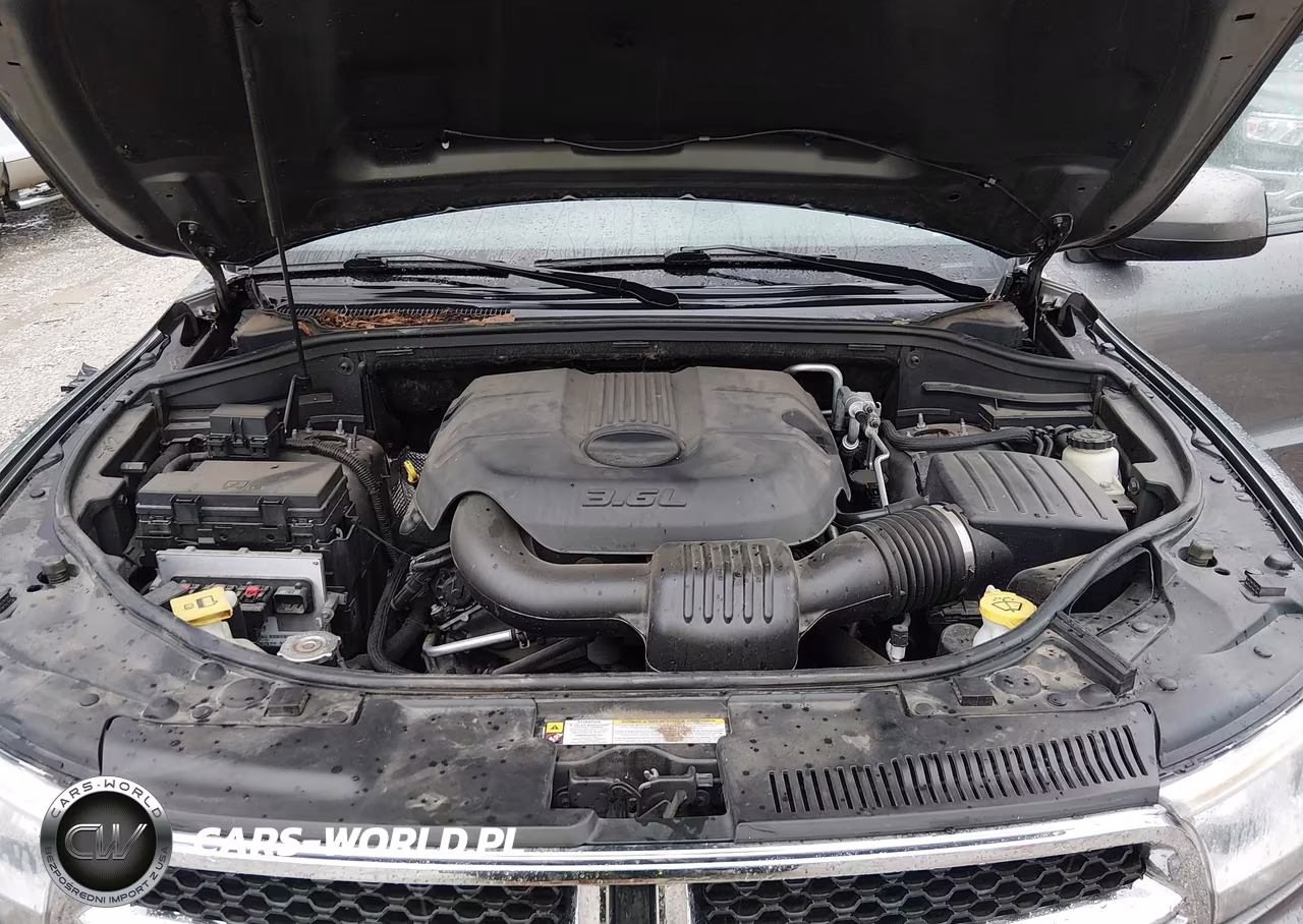 2011 Dodge Durango Express VIN:1D4RE2GG7BC746442 - 10