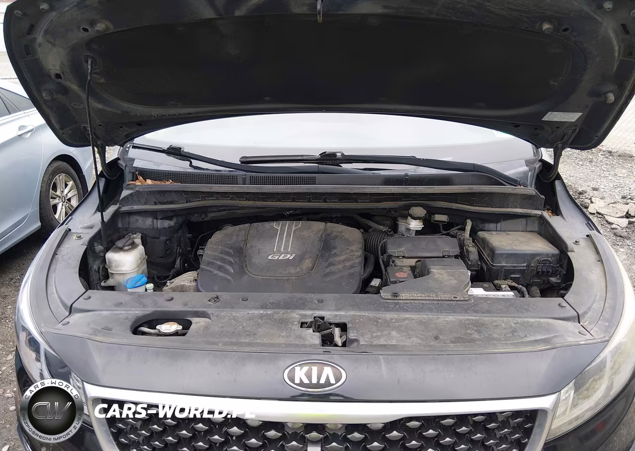 2015 Kia Sedona Sx Luxury VIN:KNDME5C16F6038407 - 10
