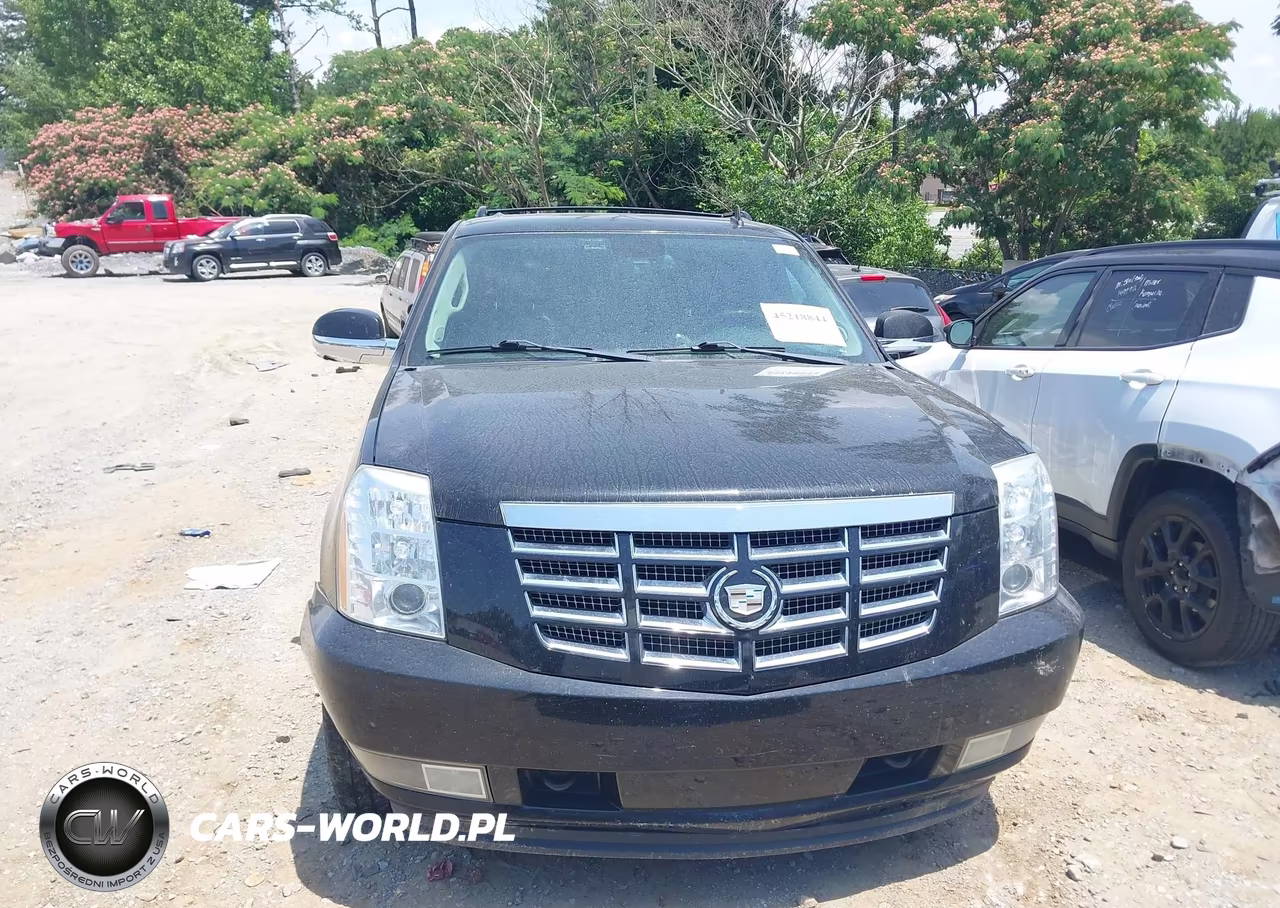 2011 Cadillac Escalade Esv Luxury VIN:1GYS4HEF3BR207046 - 12