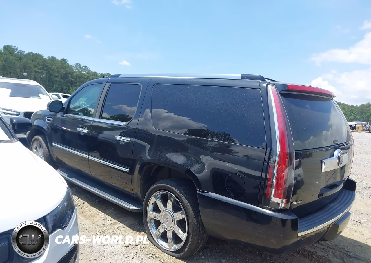 2011 Cadillac Escalade Esv Luxury VIN:1GYS4HEF3BR207046 - 14