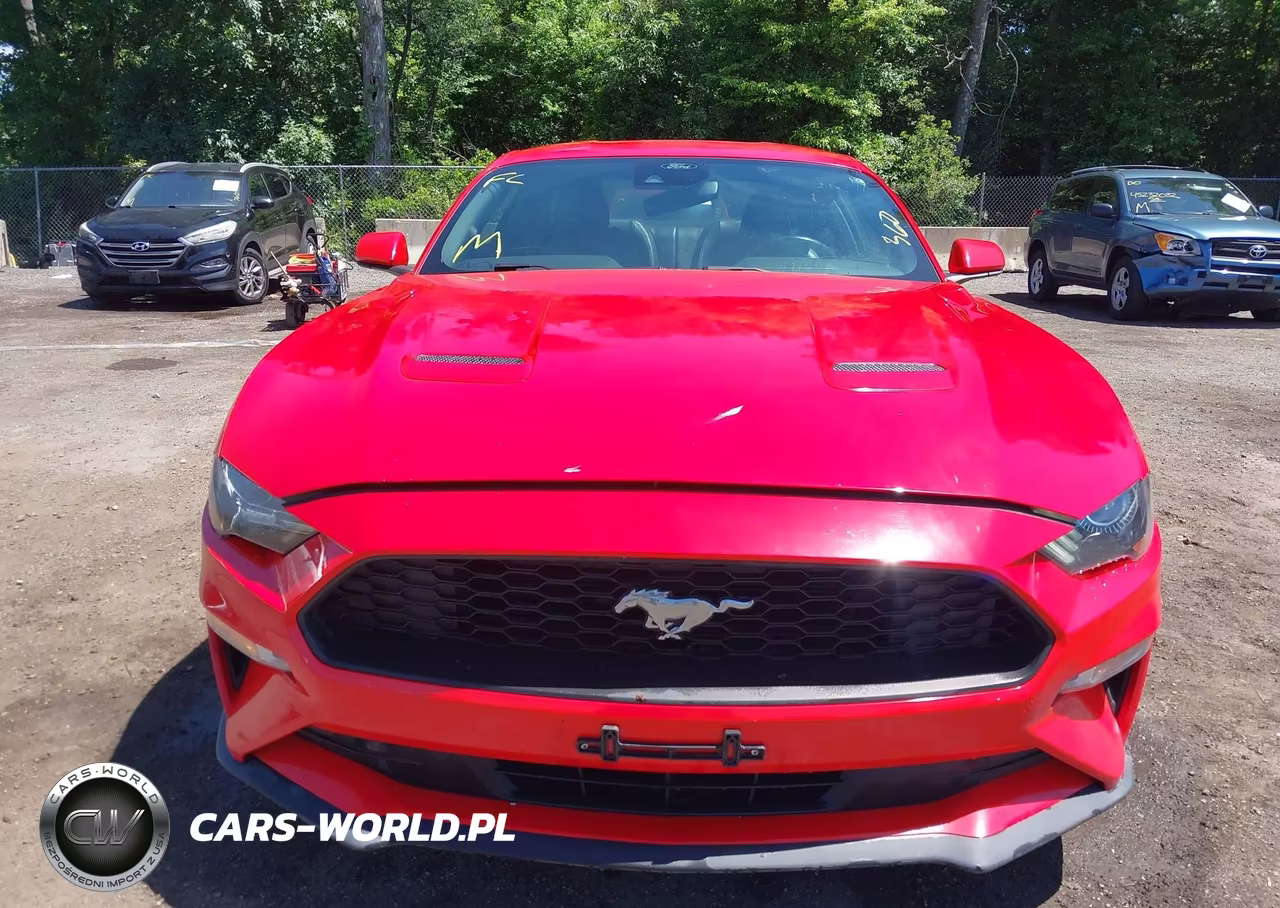2021 Ford Mustang Ecoboost Premium Fastback VIN:1FA6P8TH4M5105516 - 12