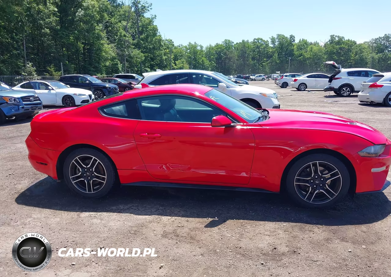2021 Ford Mustang Ecoboost Premium Fastback VIN:1FA6P8TH4M5105516 - 13