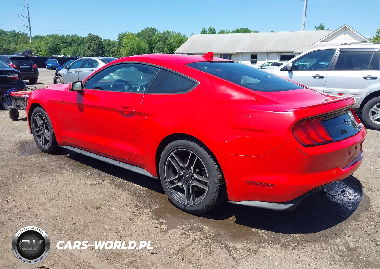 2021 Ford Mustang Ecoboost Premium Fastback VIN:1FA6P8TH4M5105516 - 3