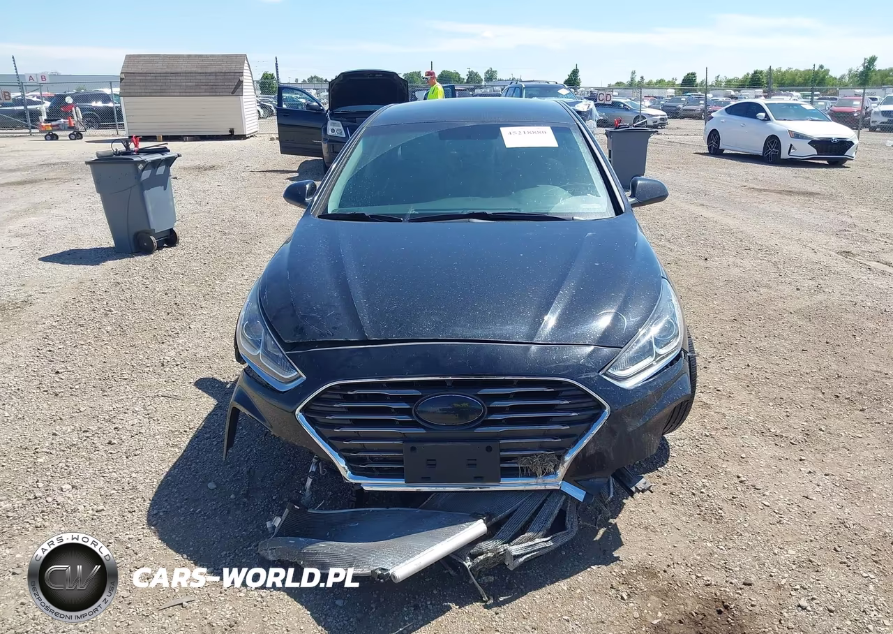 2019 Hyundai Sonata Se VIN:5NPE24AF8KH804871 - 13