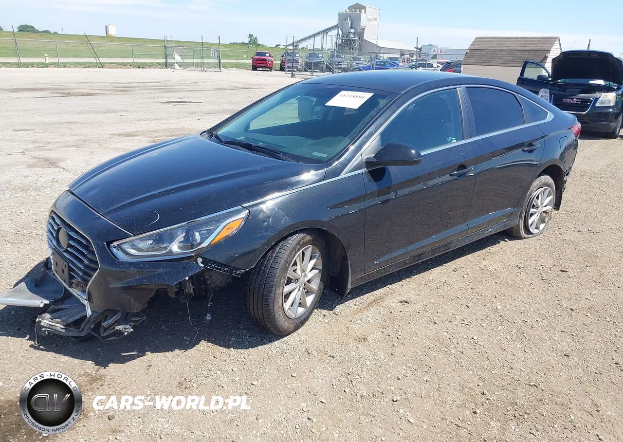 2019 Hyundai Sonata Se VIN:5NPE24AF8KH804871 - 2