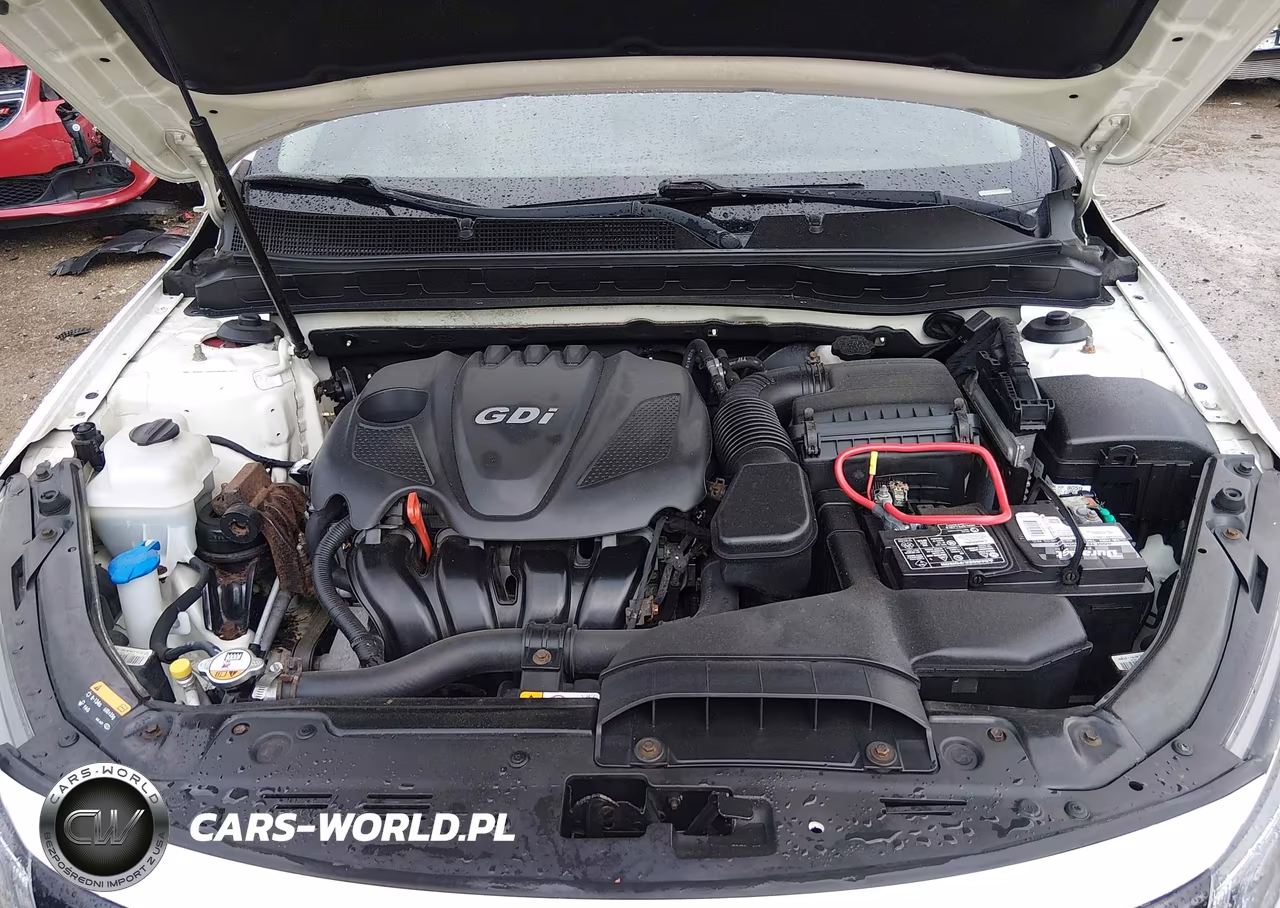 2014 Kia Optima Lx VIN:KNAGM4A76E5499755 - 10