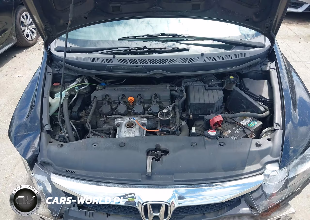2010 Honda Civic Lx VIN:19XFA1F54AE028439 - 10