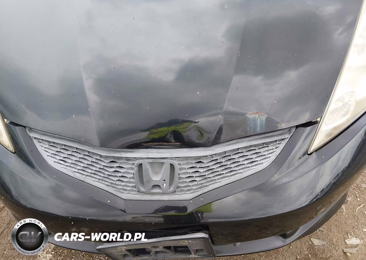 2009 Honda Fit Sport VIN:JHMGE88439S060781 - 6