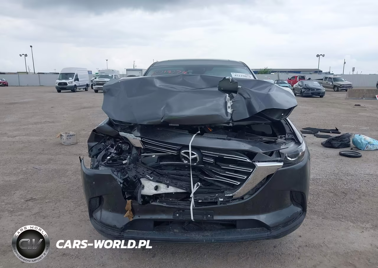 2017 Mazda Cx-9 Touring VIN:JM3TCACY8H0137055 - 12