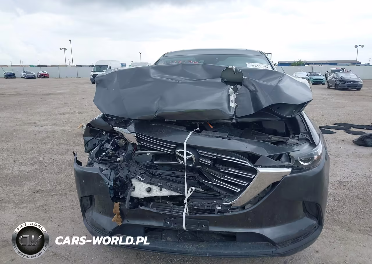 2017 Mazda Cx-9 Touring VIN:JM3TCACY8H0137055 - 6
