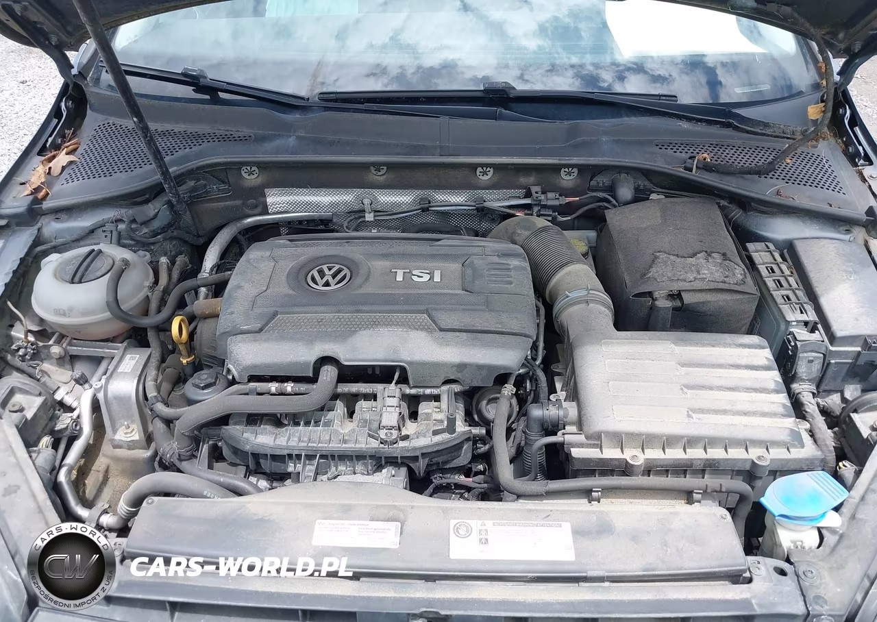 2017 Volkswagen Golf Alltrack Tsi S-Tsi Se VIN:3VWM17AU3HM533121 - 10
