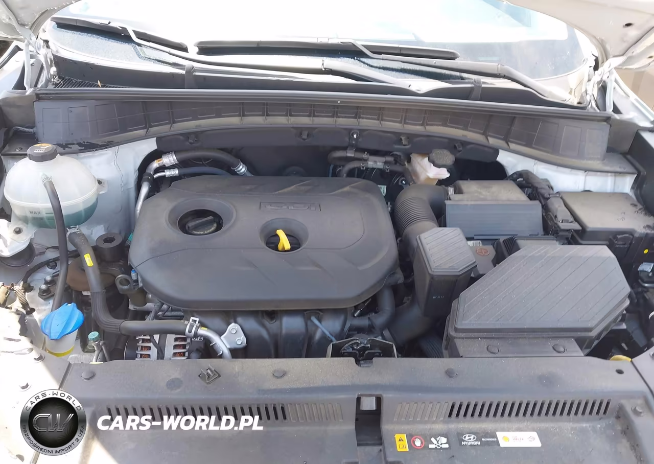 2017 Hyundai Tucson Se VIN:KM8J33A46HU455983 - 10