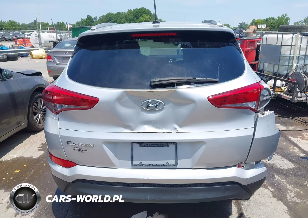 2017 Hyundai Tucson Se VIN:KM8J33A46HU455983 - 16