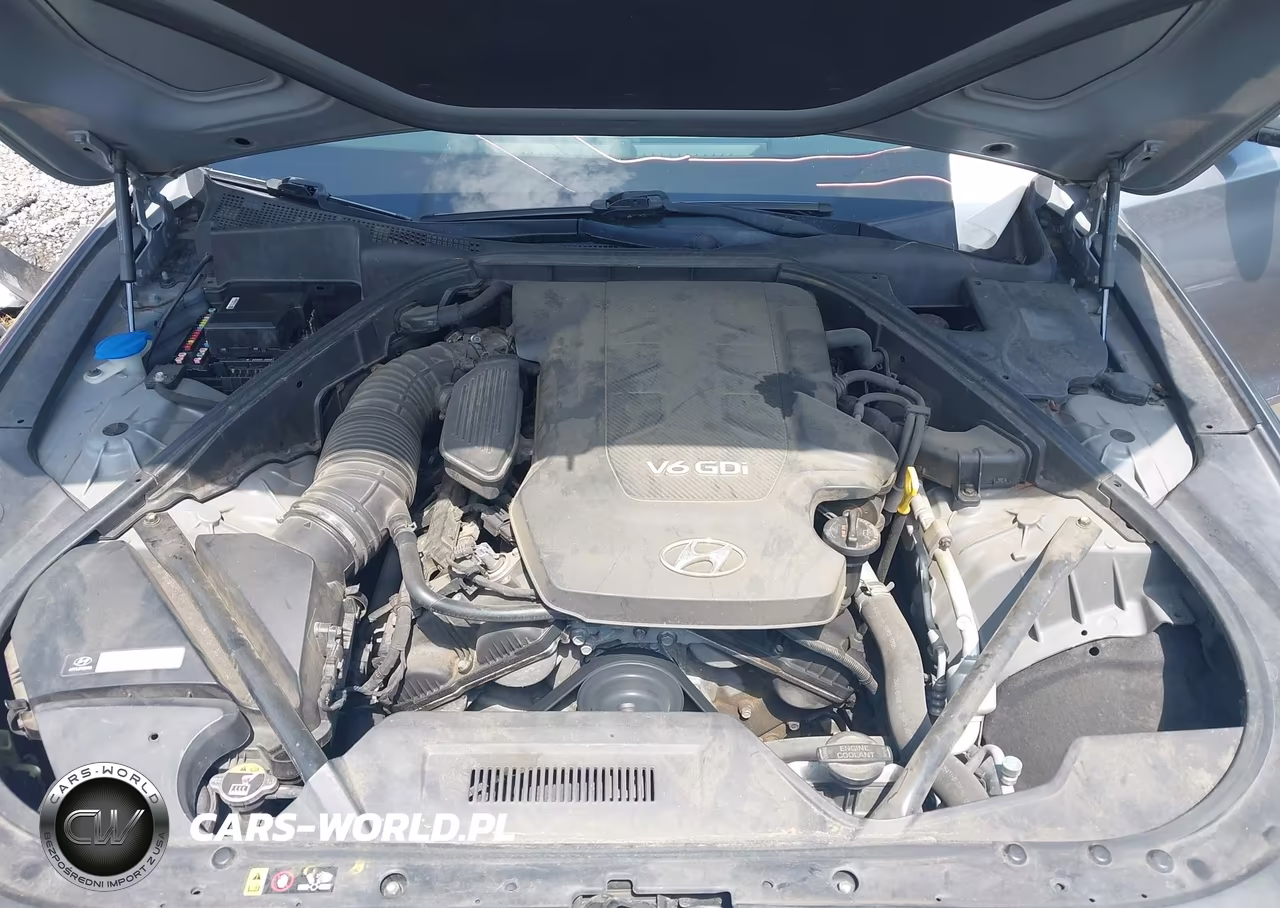 2016 Hyundai Genesis 3.8 VIN:KMHGN4JE9GU121254 - 10