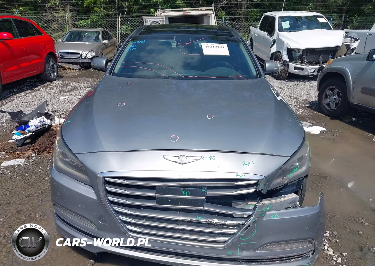 2016 Hyundai Genesis 3.8 VIN:KMHGN4JE9GU121254 - 12