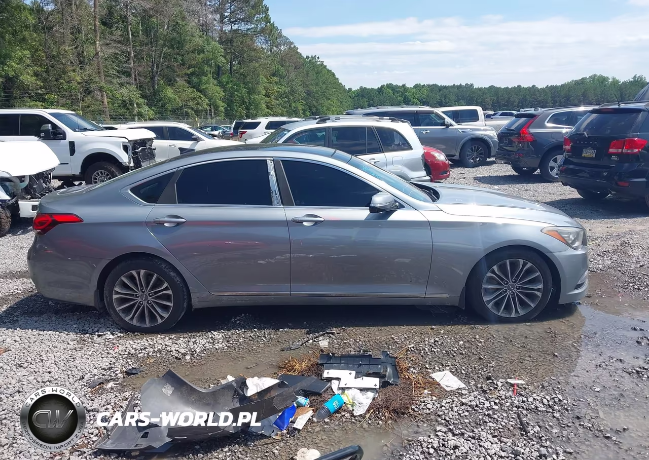 2016 Hyundai Genesis 3.8 VIN:KMHGN4JE9GU121254 - 13