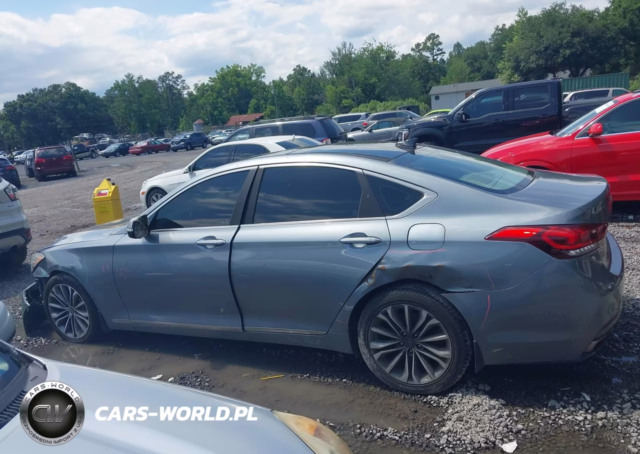 2016 Hyundai Genesis 3.8 VIN:KMHGN4JE9GU121254 - 14