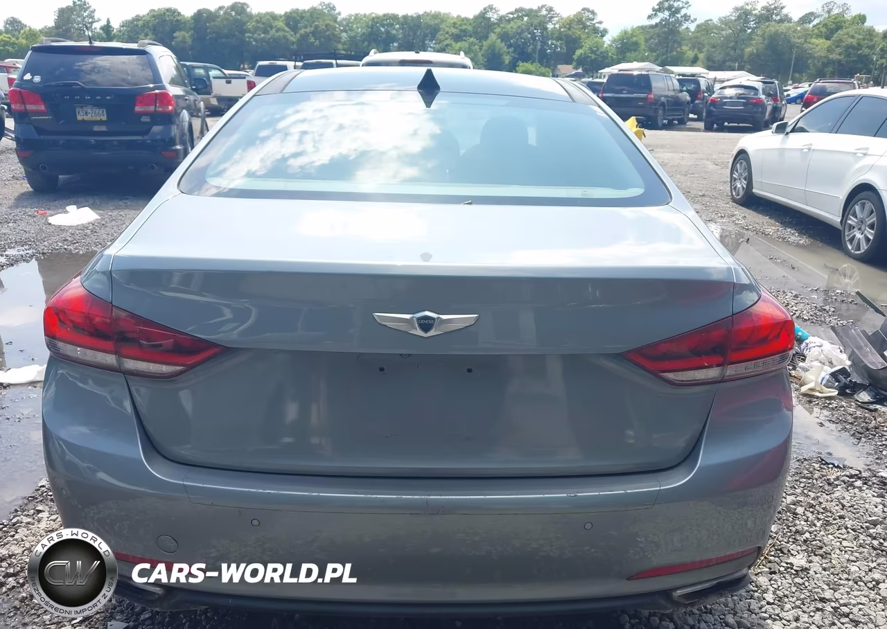 2016 Hyundai Genesis 3.8 VIN:KMHGN4JE9GU121254 - 16