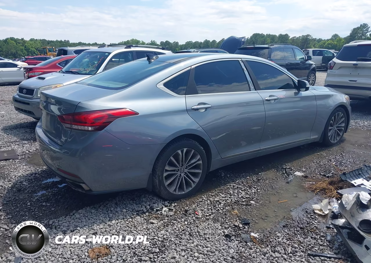 2016 Hyundai Genesis 3.8 VIN:KMHGN4JE9GU121254 - 4