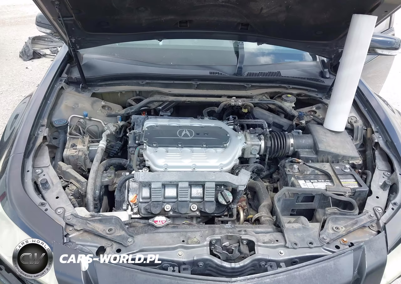 2009 Acura Tl 3.5 VIN:19UUA86519A019908 - 10