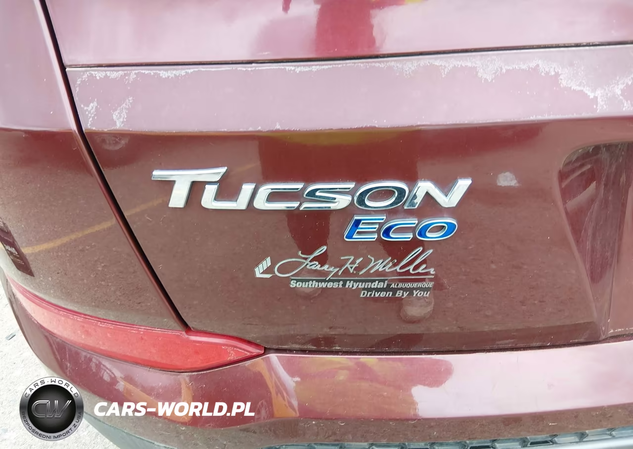 2016 Hyundai Tucson Eco VIN:KM8J3CA20GU178647 - 18