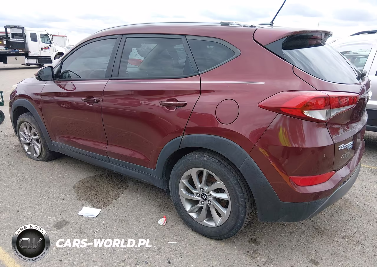 2016 Hyundai Tucson Eco VIN:KM8J3CA20GU178647 - 3