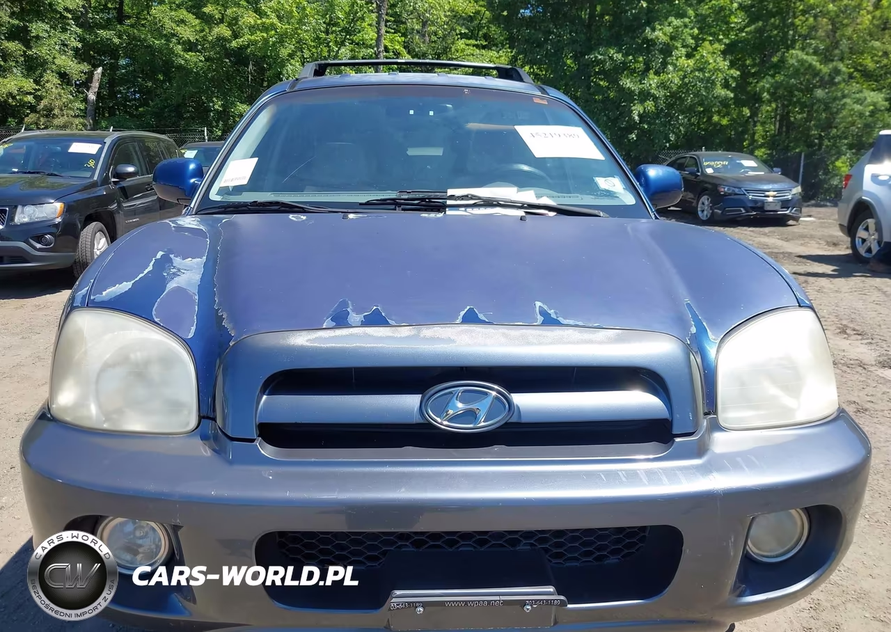 2006 Hyundai Santa Fe Gls VIN:KM8SC73D96U103857 - 10