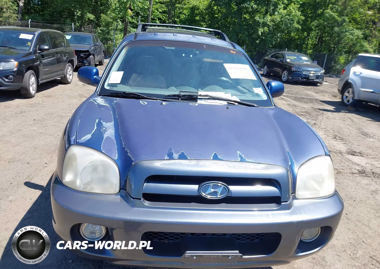 2006 Hyundai Santa Fe Gls VIN:KM8SC73D96U103857 - 6