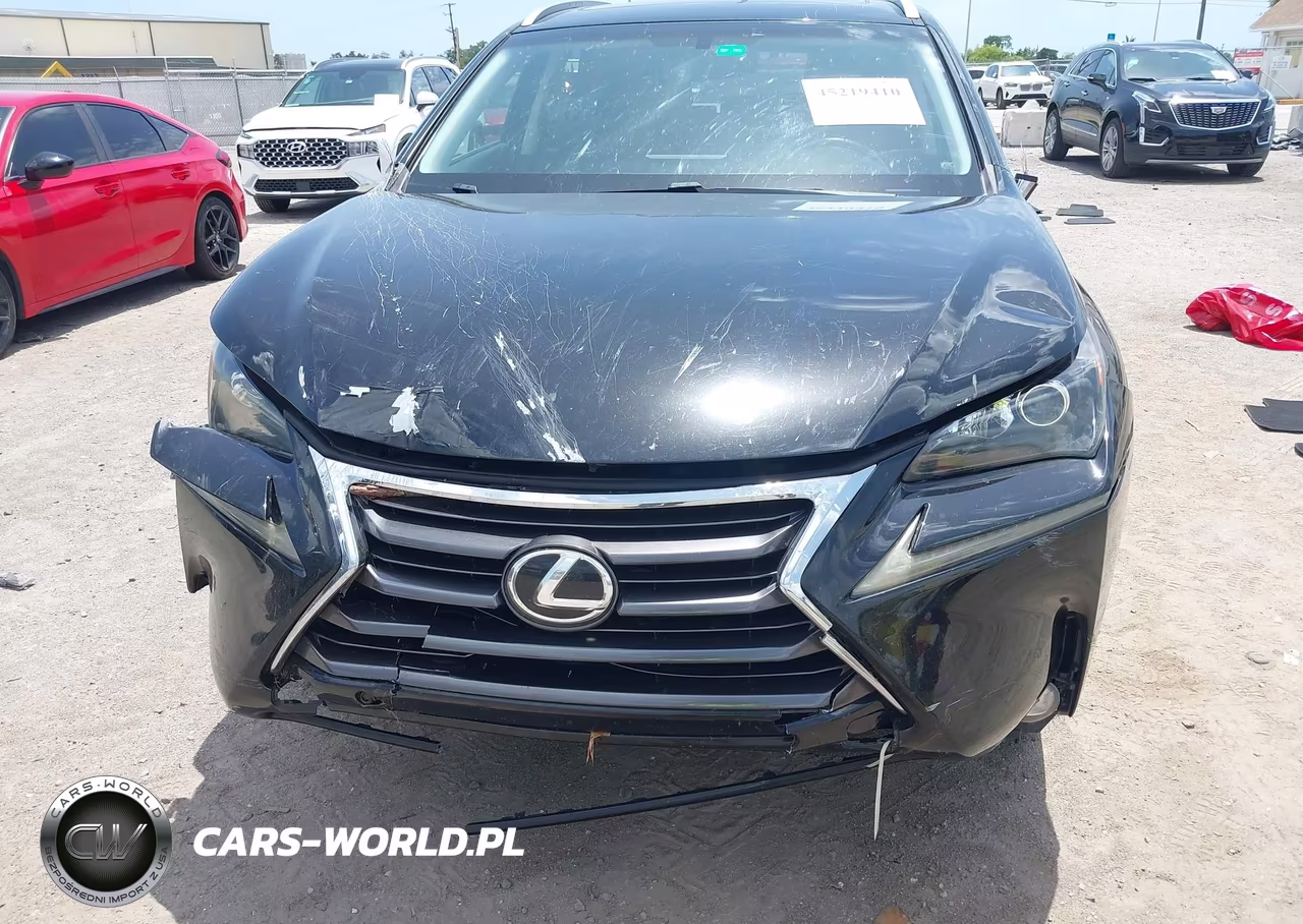 2015 Lexus Nx 200T VIN:JTJYARBZ4F2002313 - 13