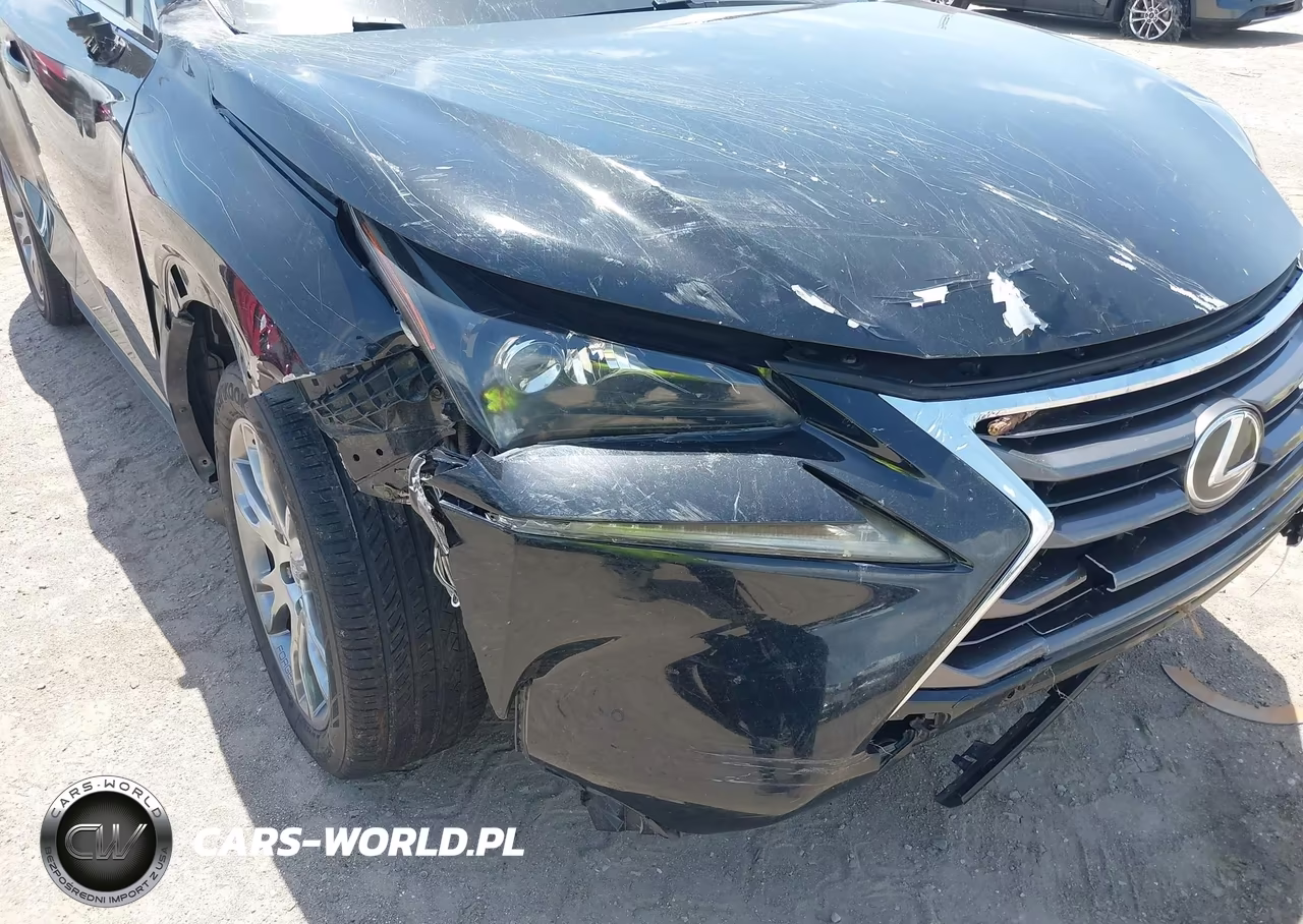 2015 Lexus Nx 200T VIN:JTJYARBZ4F2002313 - 6
