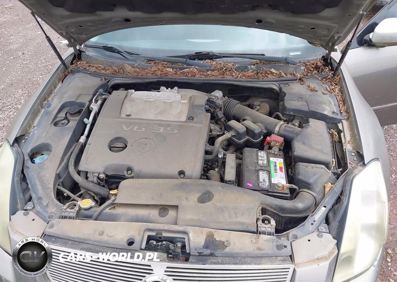 2004 Nissan Maxima 3.5 Se VIN:1N4BA41E44C869038 - 10