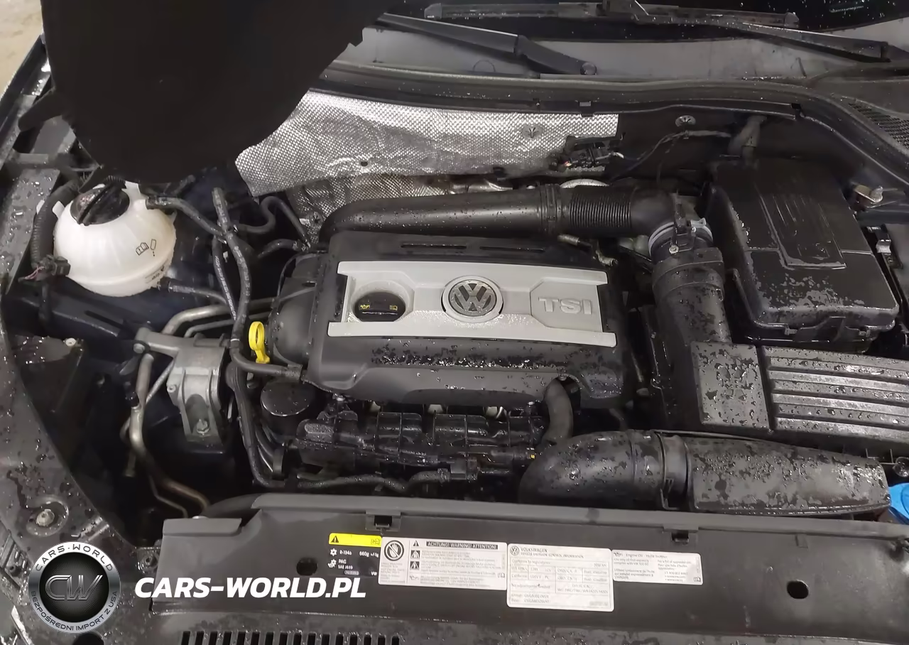 2016 Volkswagen Tiguan Sel VIN:WVGAV7AX4GW551237 - 10