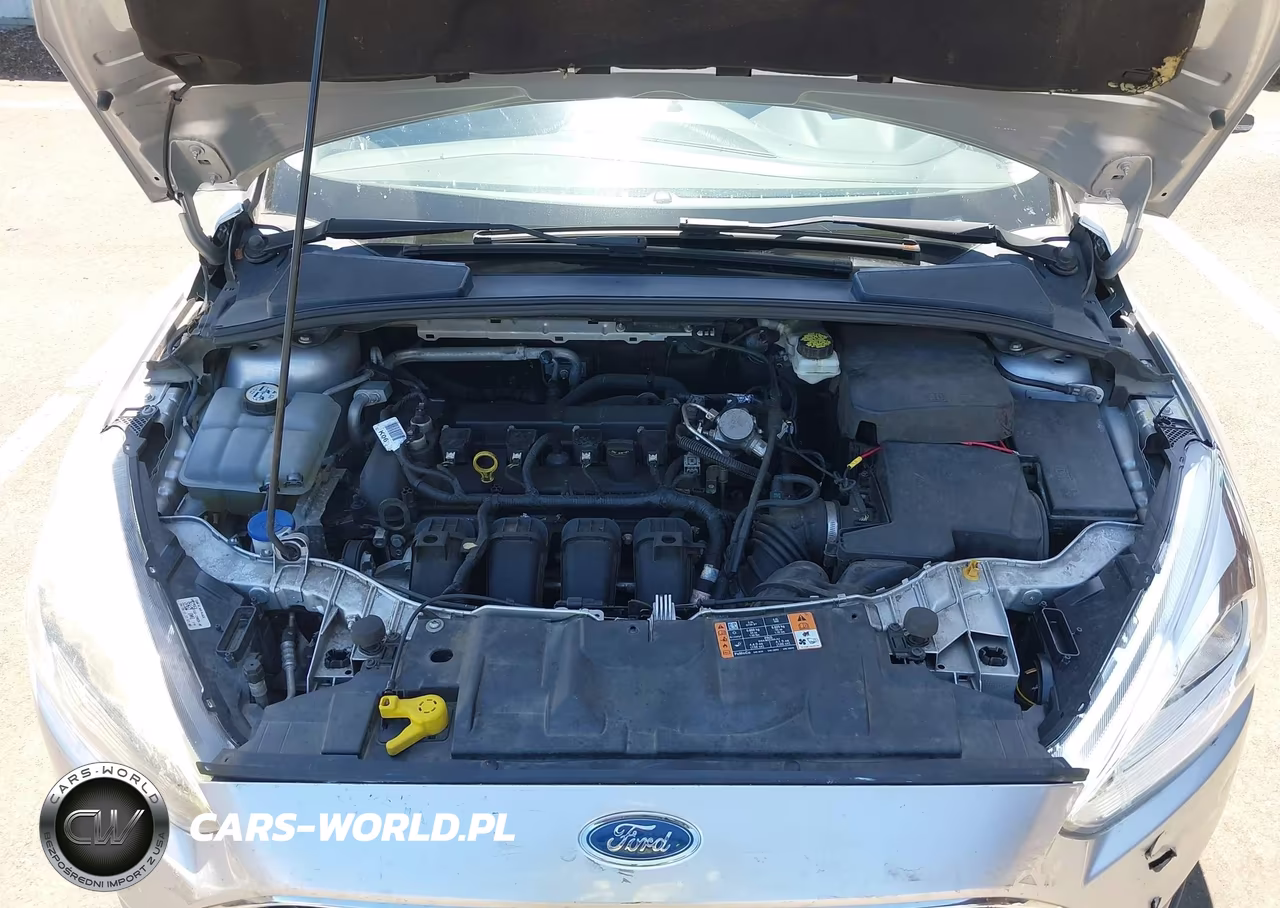 2017 Ford Focus Sel VIN:1FADP3M25HL344305 - 10