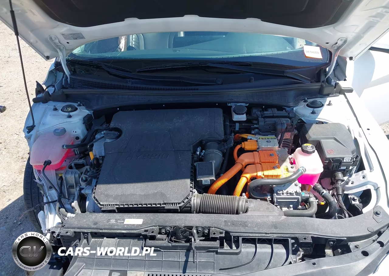 2024 Hyundai Elantra Hybrid Limited VIN:KMHLN4DJ5RU094953 - 10
