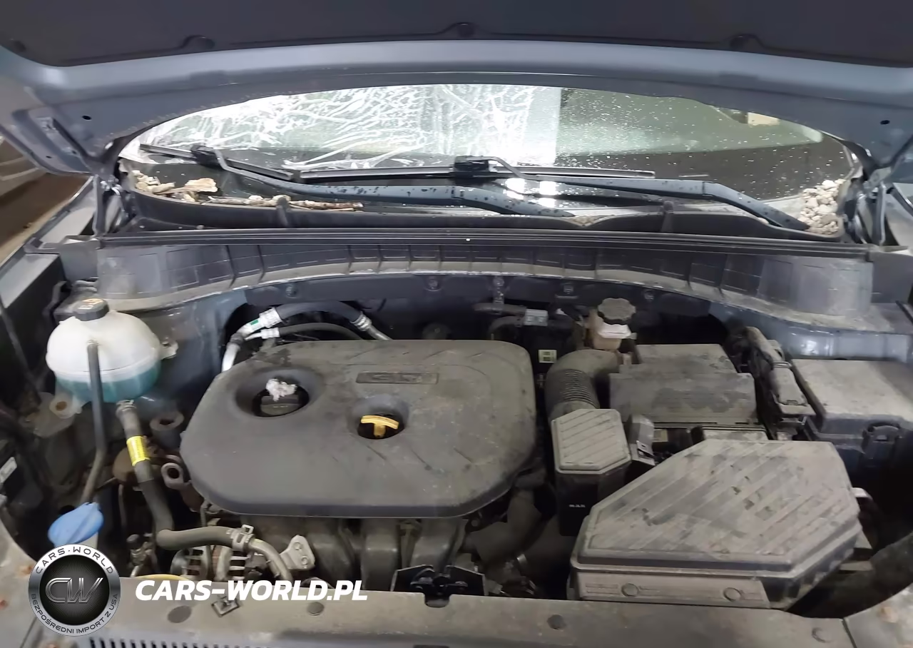 2019 Hyundai Tucson Se VIN:KM8J2CA43KU988982 - 10