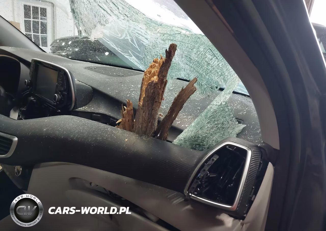 2019 Hyundai Tucson Se VIN:KM8J2CA43KU988982 - 16