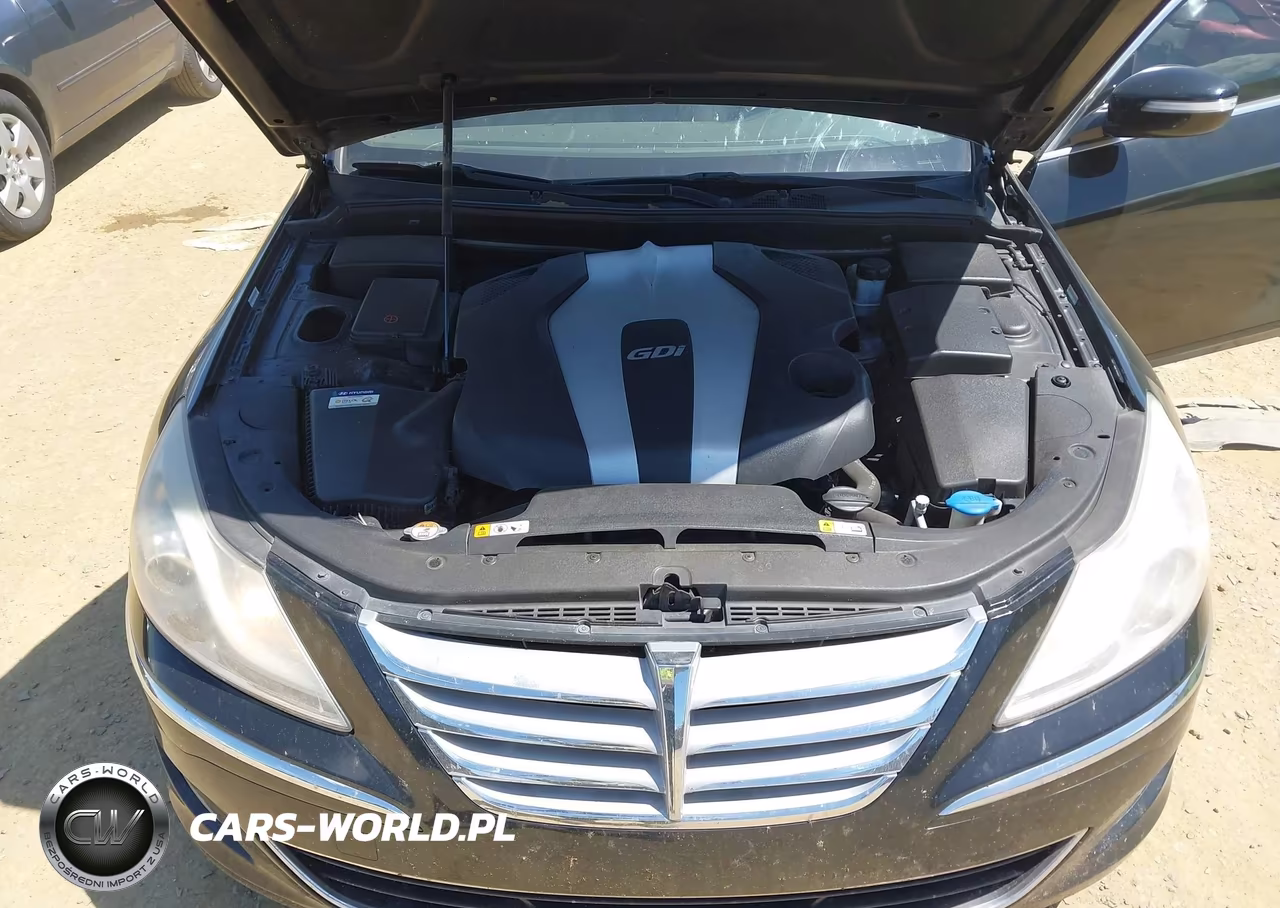 2013 Hyundai Genesis 3.8 VIN:KMHGC4DD1DU233521 - 10