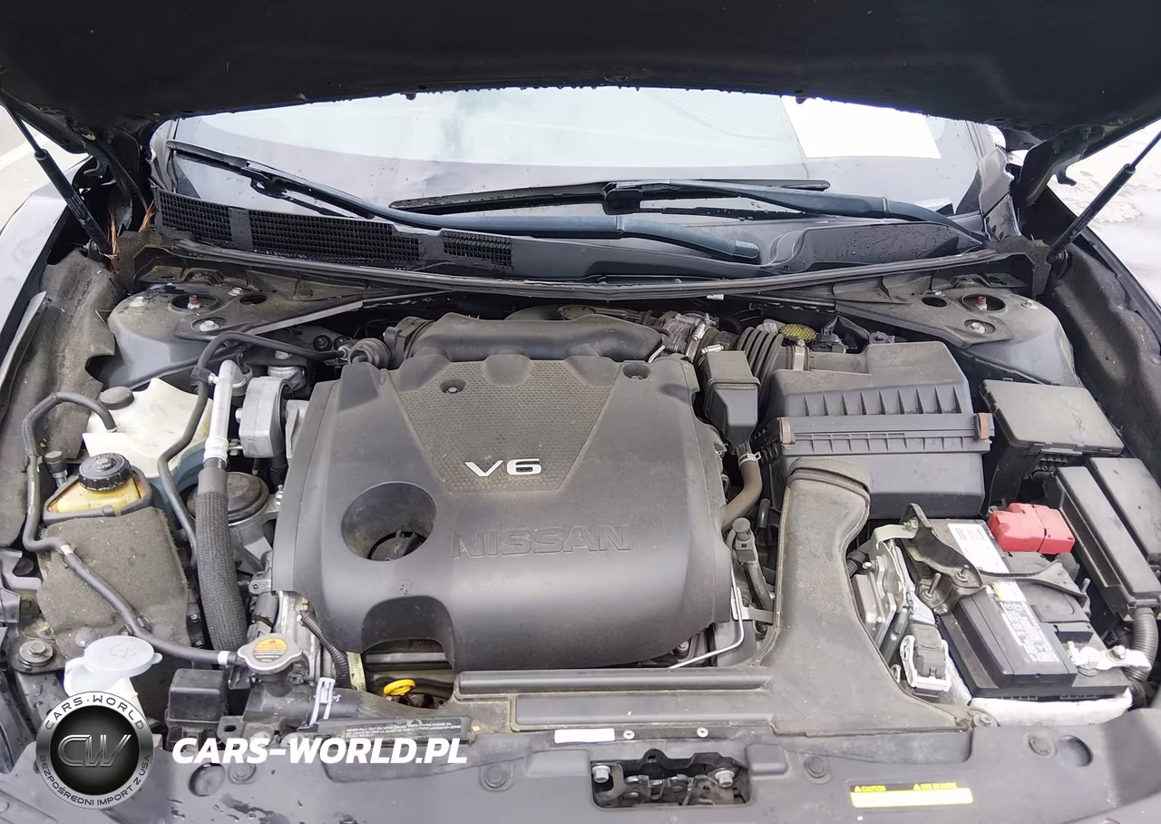 2019 Nissan Maxima 3.5 Platinum VIN:1N4AA6AV7KC372439 - 10