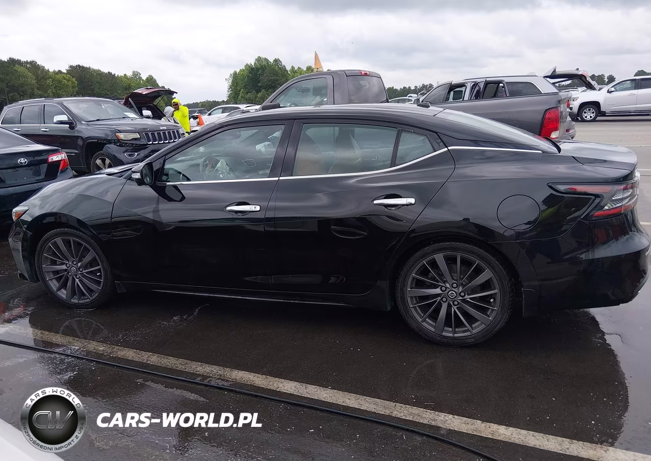 2019 Nissan Maxima 3.5 Platinum VIN:1N4AA6AV7KC372439 - 14