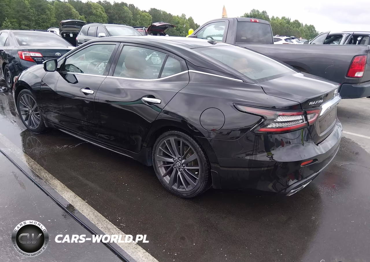 2019 Nissan Maxima 3.5 Platinum VIN:1N4AA6AV7KC372439 - 3