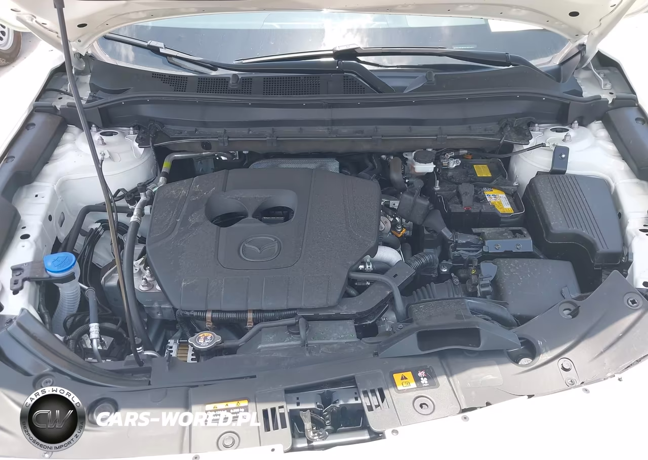 2025 Mazda Cx-5 2.5 S Premium Plus VIN:JM3KFBEM5S0787651 - 10