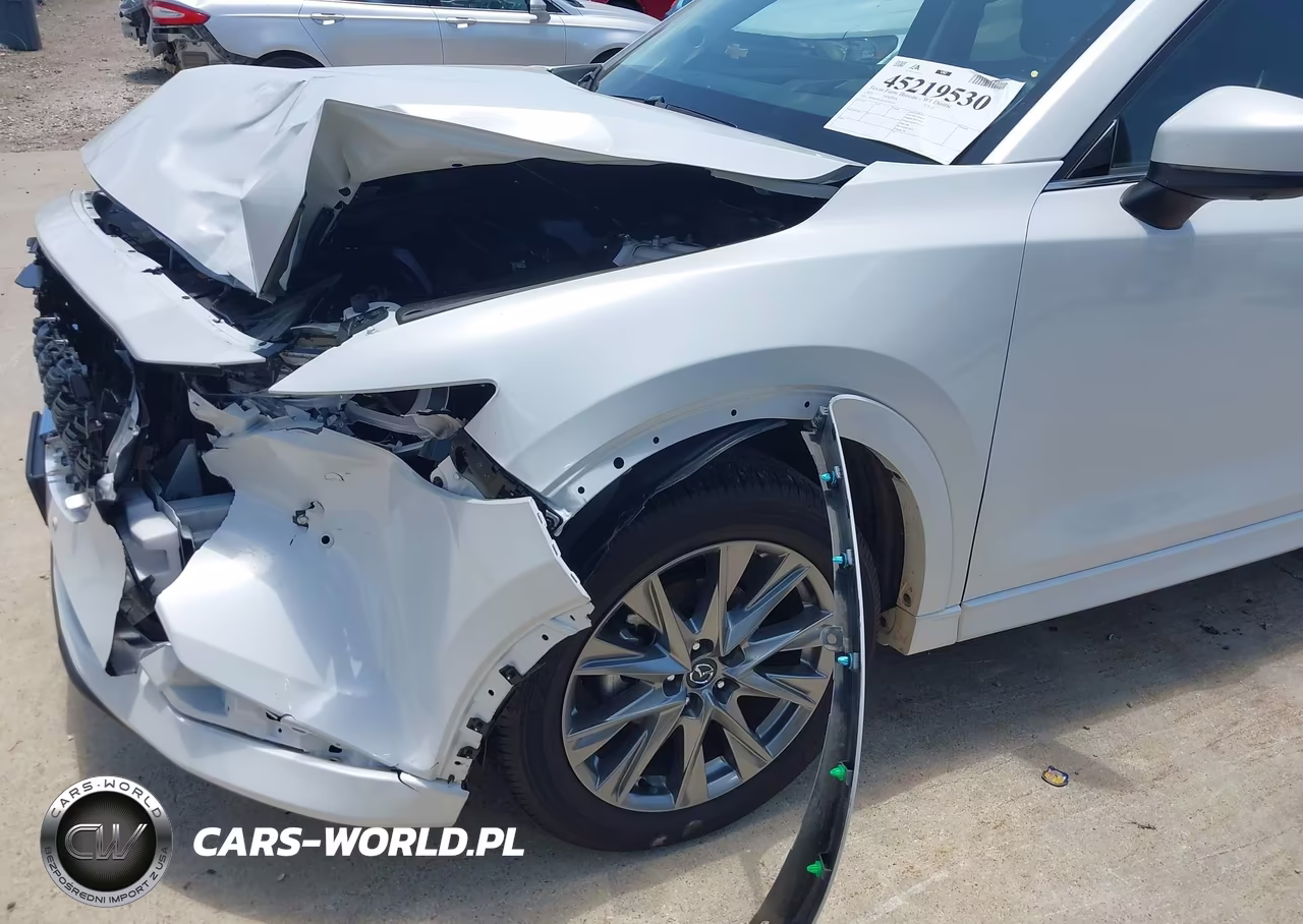 2025 Mazda Cx-5 2.5 S Premium Plus VIN:JM3KFBEM5S0787651 - 17