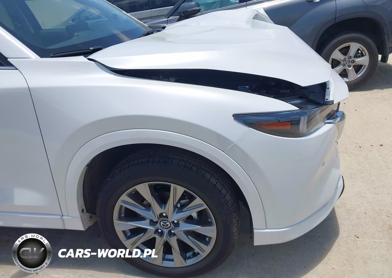 2025 Mazda Cx-5 2.5 S Premium Plus VIN:JM3KFBEM5S0787651 - 19